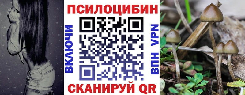 OMG ССЫЛКА Рассказово Галлюциногенные грибы ЛСД купить наркотик
